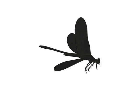 Black Bug Dragonfly: A Designer's Review for Personalized Gifts