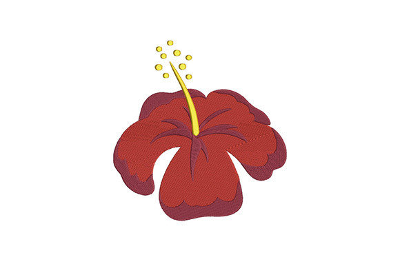 Red Hibiscus Flower Review